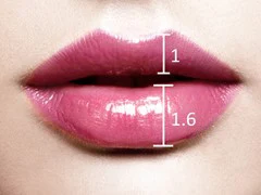 lip correction ratio